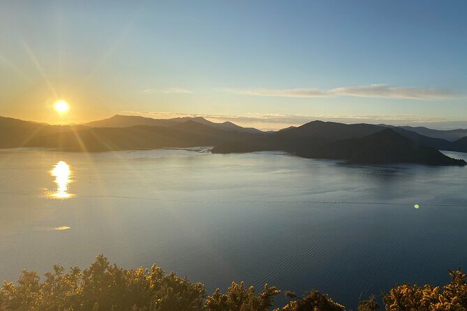 Half-Day Guided Sea Kayak Trip from Picton - The paddle route: Grove Arm to Ngakuta Bay