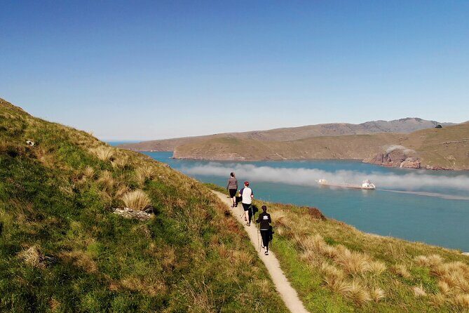 Half Day Guided Walking Tour on Banks Peninsula - Getting There Smoothly: Pickup, Minivan Comfort, and a Small Group