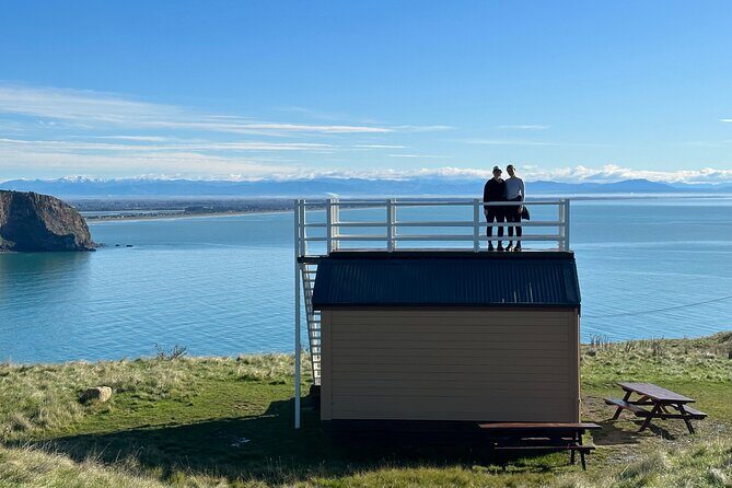Half Day Guided Walking Tour on Banks Peninsula - Should You Book This Half-Day Godley Head Walk?