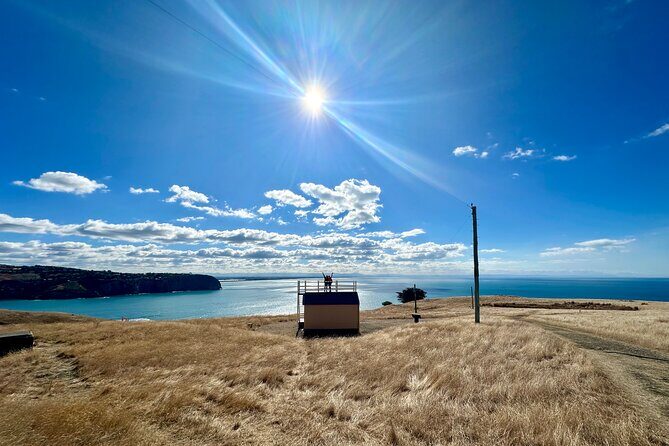 Half Day Luxury Private Guided Crater Rim Walk - Banks Peninsula in Half a Day