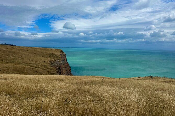 Half Day Luxury Private Guided Crater Rim Walk - Lyttelton Harbour and Pacific Ocean Views That Actually Matter