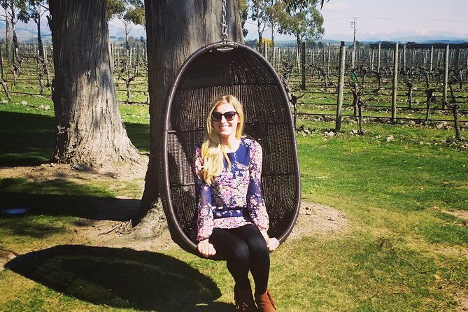 Half-Day Marlborough Wine Tour & Beer Tour - Price and Value: What $129.70 Buys You