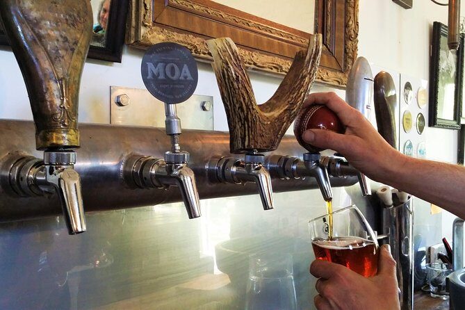 Half-Day Marlborough Wine Tour & Beer Tour - Timing and Logistics: When to Plan Other Stops