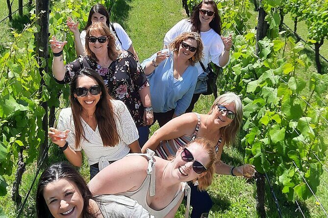 Half Day Martinborough Winery Tour from Wellington - The C’est Cheese stop: a quick palate reset and an easy snack win