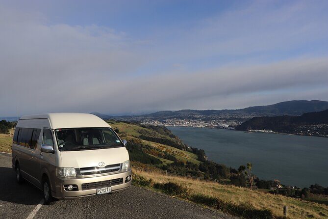 Half-Day Private City, Sights & Wildlife Tours - Key highlights you’ll feel the moment you start