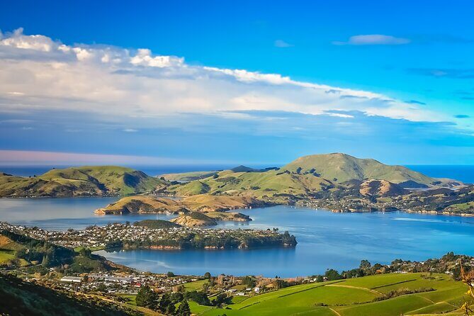 Half-Day Private City, Sights & Wildlife Tours - How This 4.5-Hour Private Tour Fits Your Dunedin Days