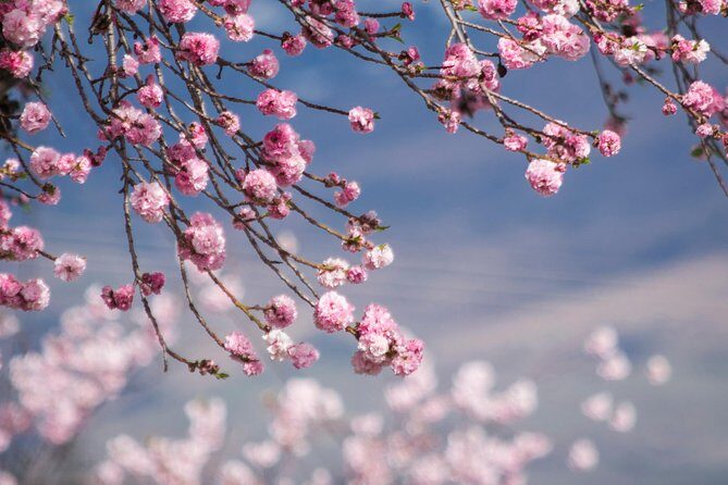 Half Day Queenstown & Beyond Private Scenic Photography Tour - Price and value: is $173.76 per person fair for a private photo tour?