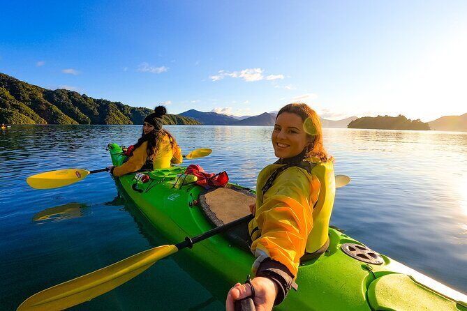 Half day Sea Kayak Guided Tour from Picton - The 4-Hour Paddling Plan: What You’ll Do (and Why It Works)