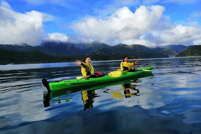 Half day Sea Kayak Guided Tour from Picton - Stop 2: Queen Charlotte Sound—Coves, Wildlife, and Remote-Feeling Water