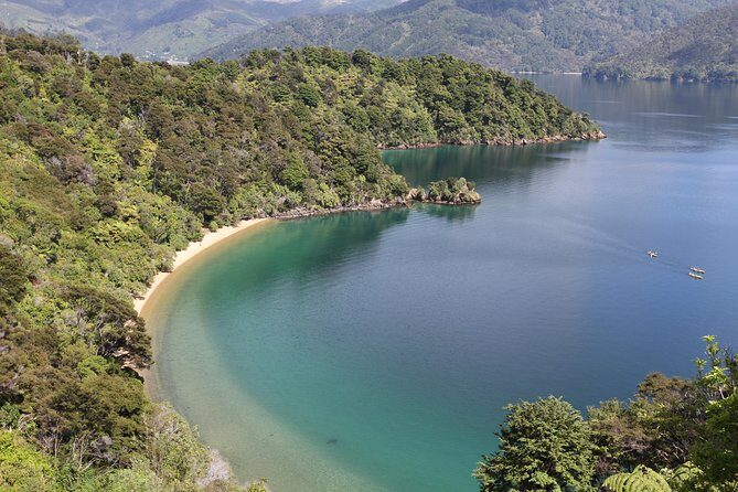 Half day Sea Kayak Guided Tour from Picton - Stop 3: Wrapping Up with Wilderness Guides—How the Trip Usually Ends