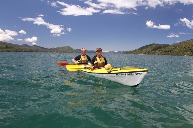 Half day Sea Kayak Guided Tour from Picton - Equipment That Helps You Enjoy the Water (Not Fight It)