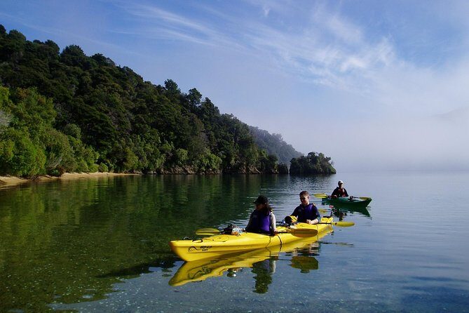 Half day Sea Kayak Guided Tour from Picton - The Wind Factor: Expect Some Texture, Even on Calm Days