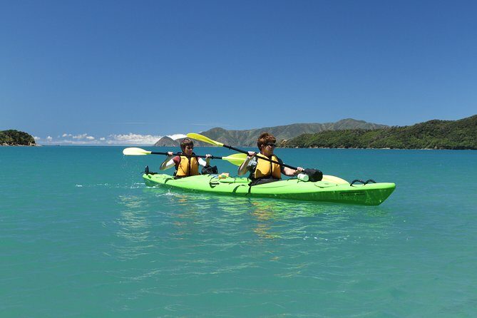 Half day Sea Kayak Guided Tour from Picton - Stop 1: Marlborough Sounds—Learning What You’re Looking At