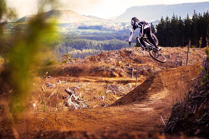 Half-Day Self-Guided Mountain Bike Journey through Whakarewarewa Redwood Forest - Key Highlights You’ll Actually Care About