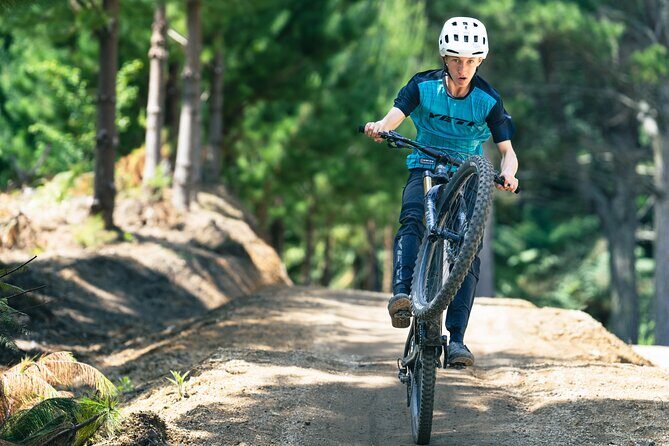 Half-Day Self-Guided Mountain Bike Journey through Whakarewarewa Redwood Forest - Bike Time vs. Café Time: How to Use the Onsite Window
