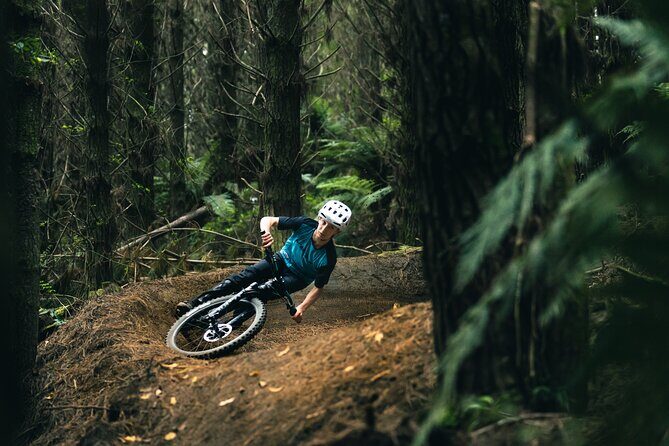 Half-Day Self-Guided Mountain Bike Journey through Whakarewarewa Redwood Forest - Price and Value: Is $34 Worth It?