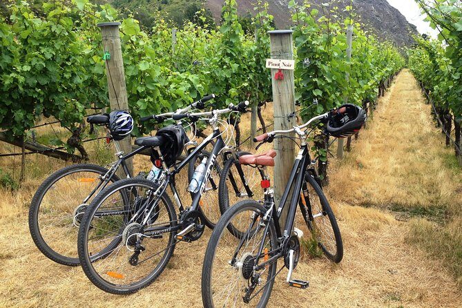 Half-Day Self-Guided Ride and Wine Bike Tour from Arrowtown - Key highlights you’ll feel in the moment