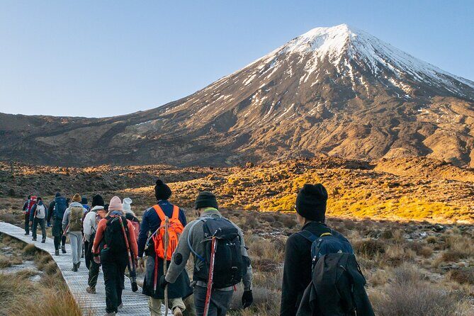 Half Day Tongariro Alpine Guided Group Walk - Why a half-day Tongariro walk makes sense