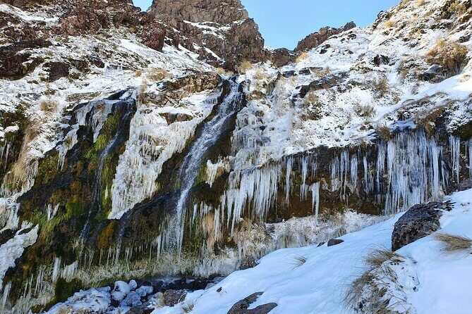 Half Day Tongariro Alpine Guided Group Walk - The timing that keeps the day smooth (and why you should call)