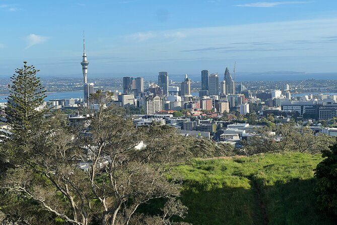 Half-Day Tour: AUCKLAND CITY Highlights with Hotel Pickup - How the 3-hour highlights loop works (and why it’s good value)