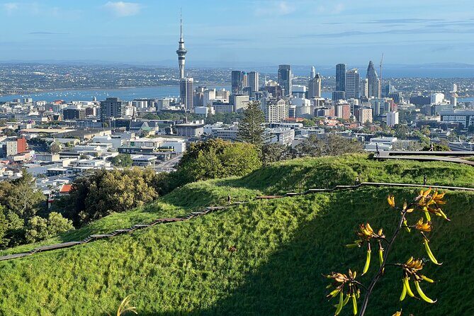 Half-Day Tour: AUCKLAND CITY Highlights with Hotel Pickup - Sky Tower drive-by: your quick orientation to Auckland’s skyline