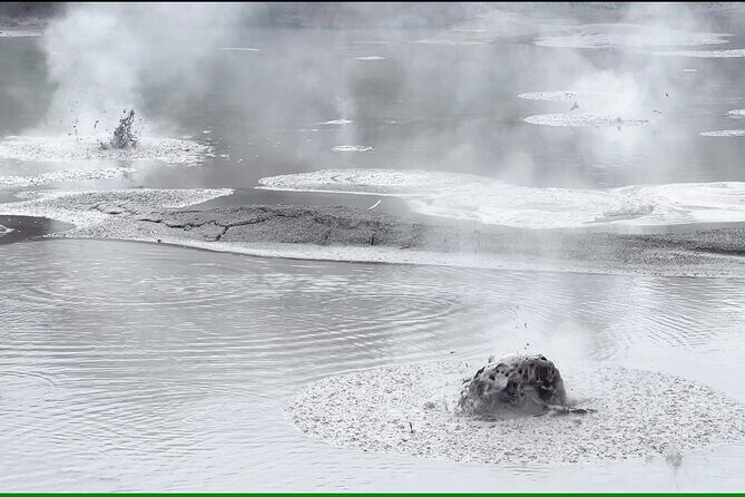 Half-Day Tour - Ex Rotorua: WAI-O-TAPU Thermal Wonderland - Wai-O-Tapu Mud Pool: what the largest mud pool feels like