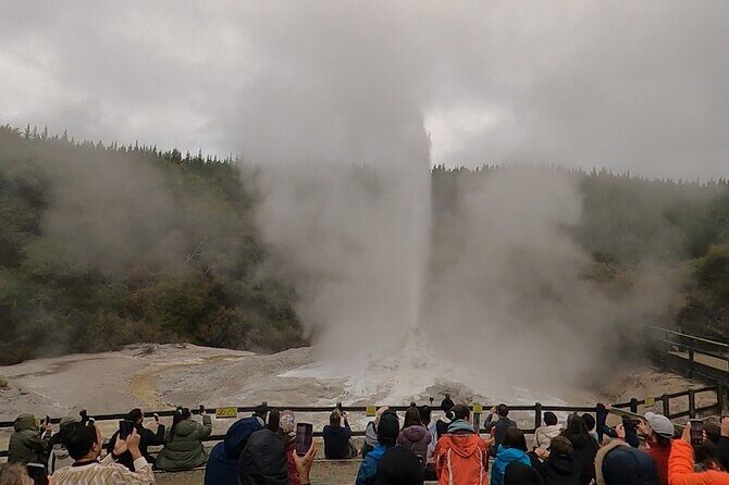 Half-Day Tour - Ex Rotorua: WAI-O-TAPU Thermal Wonderland - What’s included in the price (and how $107 makes sense)
