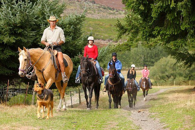 Half Day Walter Peak Horse Trek and Cruise from Queenstown - The Horse Trek: Easy Riding, Calm Horses, Expert Leads