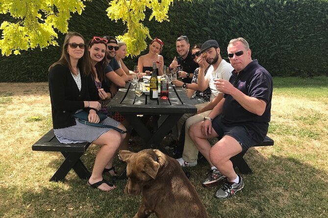 Half Day Wine Tour in Napier - What This 5-Hour Napier Wine Tour Feels Like