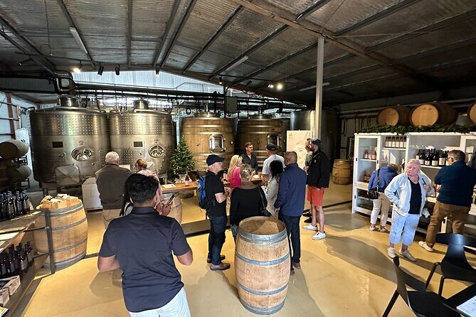 Half Day Wine Tour in Napier - Should You Book This Half-Day Wine Tour From Napier?