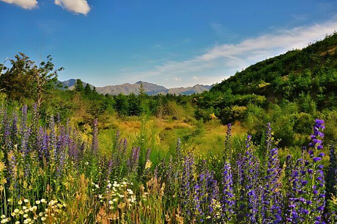 Hanmer Springs Pool Day Tour From Christchurch - Pegasus Bay Winery and Deli: Why This Stop Works as a Finale