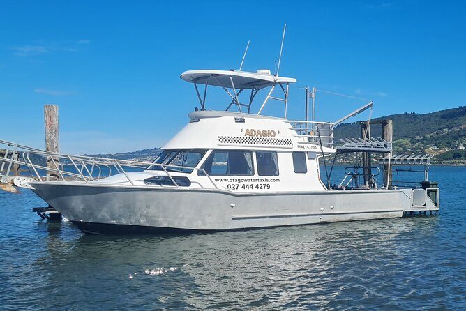 Harbour, Albatross and Wildlife Cruise on Otago Harbour - Key Takeaways Before You Go