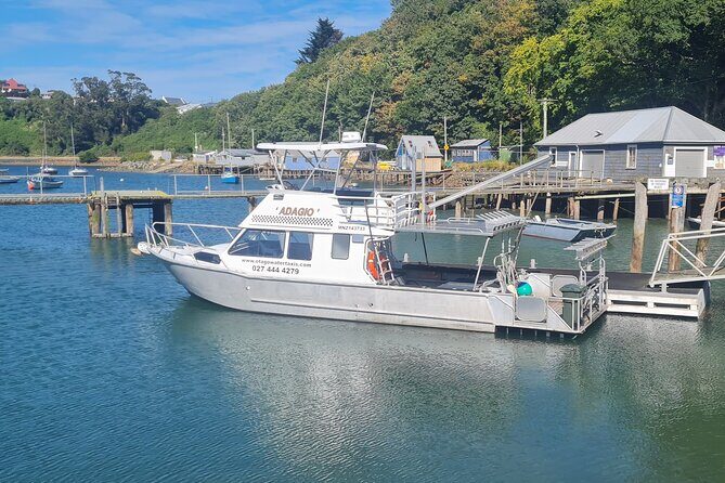 Harbour, Albatross and Wildlife Cruise on Otago Harbour - Who Should Book This Cruise (and Who Might Skip It)