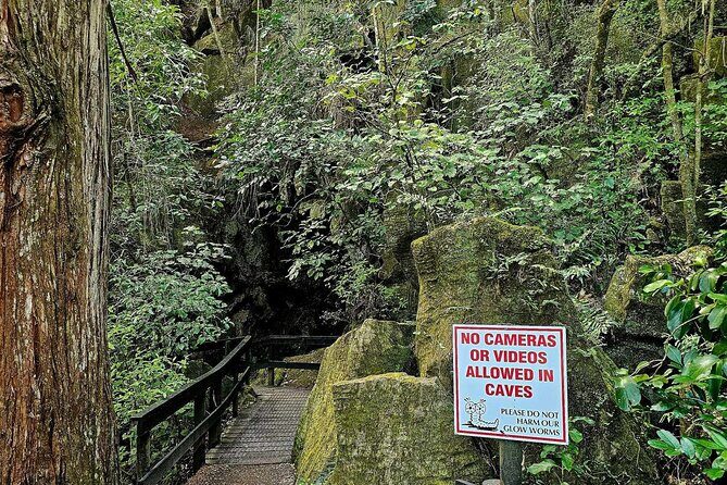 Haruru Waterfalls and Glow Worm Caves Tour - Getting from Paihia to the caves and waterfalls