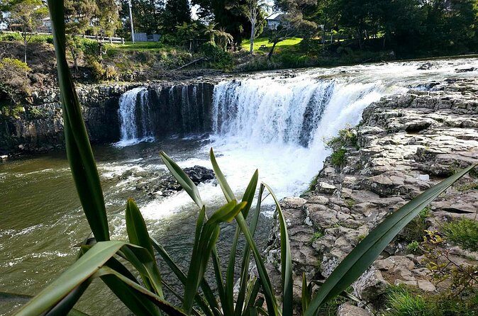 Haruru Waterfalls and Glow Worm Caves Tour - Haruru Waterfalls: the roar you can actually hear