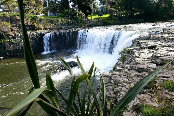 Haruru Waterfalls and Glow Worm Caves Tour - Timing and group size: why 2.5 hours feels doable