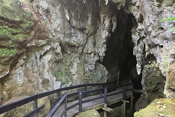 Haruru Waterfalls and Glow Worm Caves Tour - Inside Kawiti Glow Worm Caves: that 45-minute easy walk