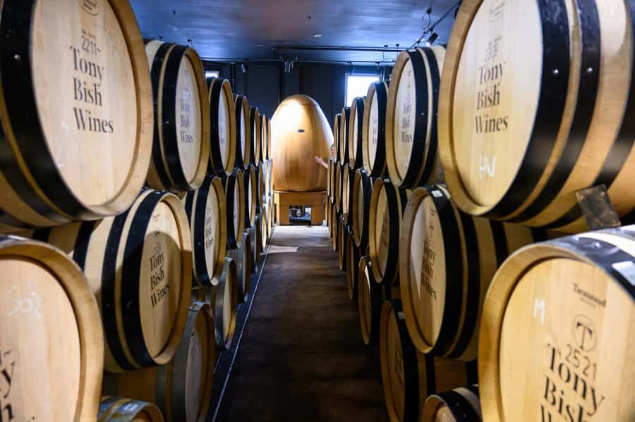 Hawkes Bay: Half-Day Wine Tour with Tastings and Cheeseboard - Vineyard + Winery Combo: You See More Than Just Labels