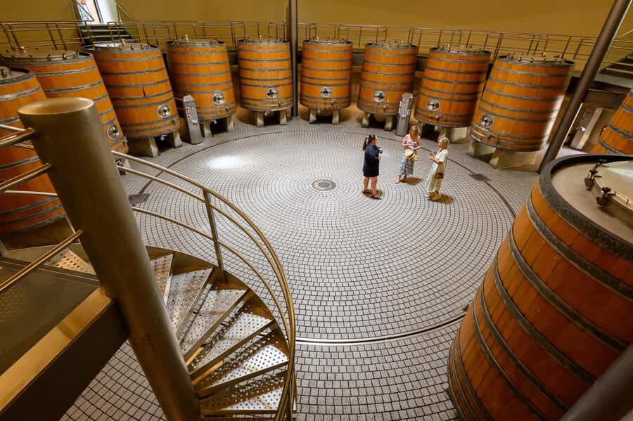 Hawkes Bay: Half-Day Wine Tour with Tastings and Cheeseboard - Price and Value: Why $96 Can Make Sense