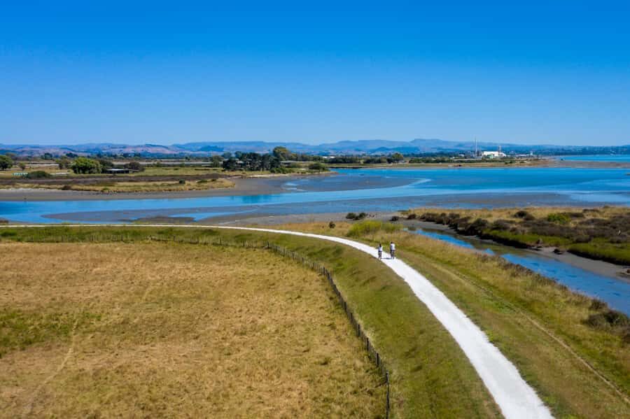 Hawke's Bay: Self Guided Coast to Vineyards Cycle Tour - Winery door reality: Askerne, Te Mata, Craggy Range, Black Barn