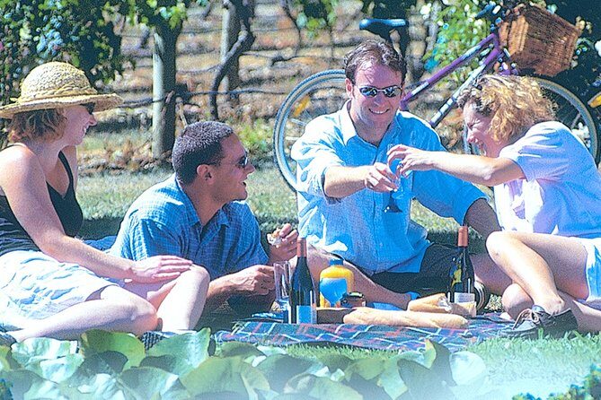 Hawkes Bay Wineries Self-Guided Bike Tour - Why Hawke’s Bay is such a smart bike-wine match