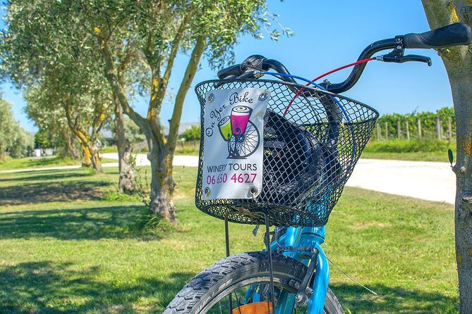 Hawkes Bay Wineries Self-Guided Bike Tour - Support on the route: what roadside help means in real life