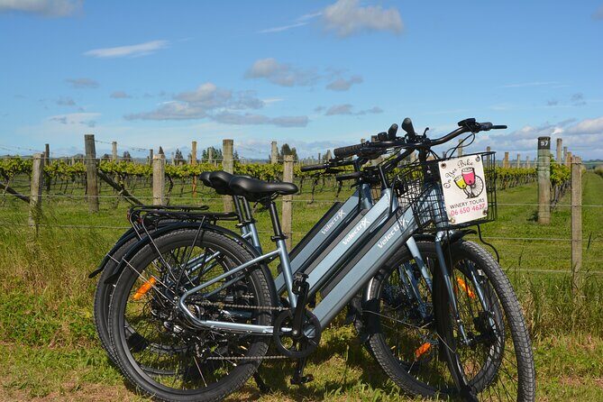 Hawkes Bay Wineries Self-Guided Electric Bike Tour - Key Points to Know Before You Ride