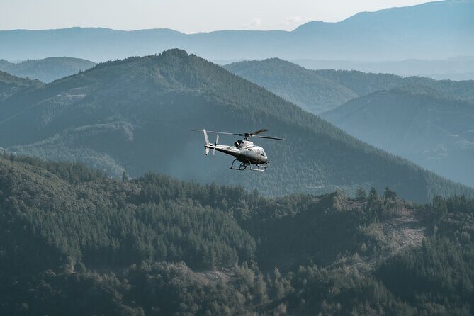 Heli-Scenic Nelson Mountain Adventure - Who this tour fits best (and who might want a different option)