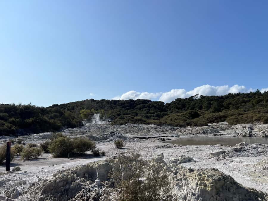 HELL'S GATE Mud Spa, Rotorua - Group Day Tour Ex Auckland - Mud bath and sulphur spa: how to make the most of limited time