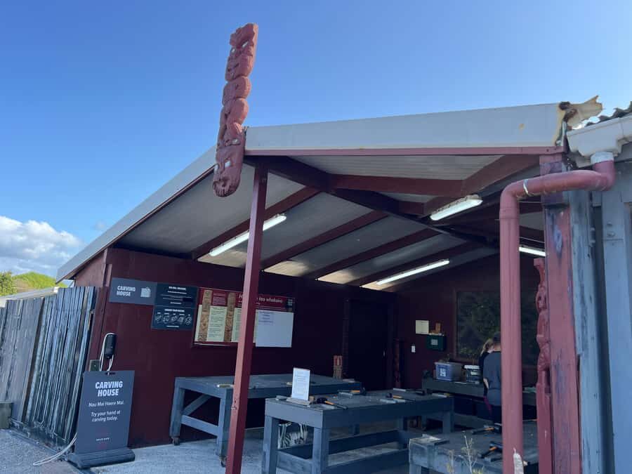 HELL'S GATE Mud Spa, Rotorua - Group Day Tour Ex Auckland - Rotorua highlights hour: a guided look without the navigation headache