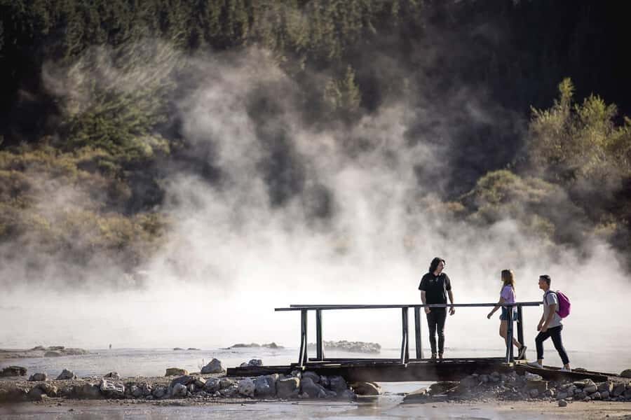 HELL'S GATE Mud Spa, Rotorua - Group Day Tour Ex Auckland - Who should book (and who should skip) this Hell’s Gate day