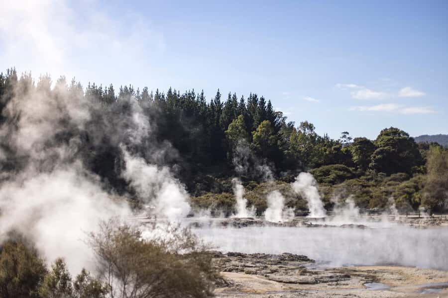 HELL'S GATE Mud Spa, Rotorua - Group Day Tour Ex Auckland - Tirau coffee break and the road rhythm to Rotorua