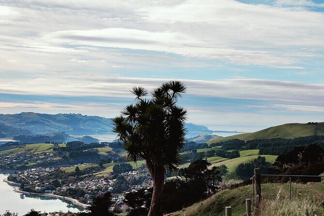 Heritage City and Larnach Castle Van tour with Historian Guide - Northern Cemetery: where famous families meet everyday lives