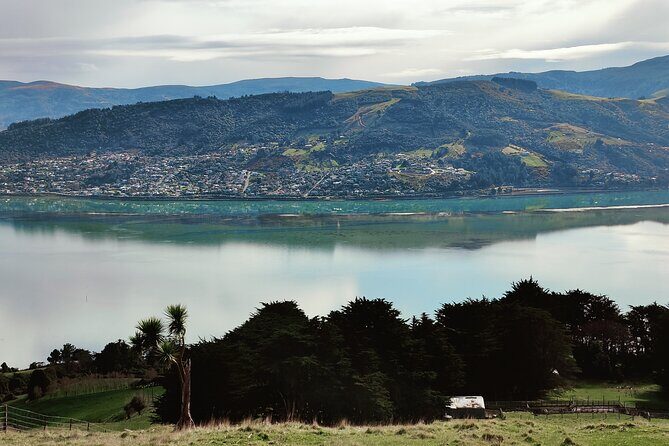 Heritage City and Larnach Castle Van tour with Historian Guide - Baldwin Street: tick the bucket-list steepness (and learn the why)